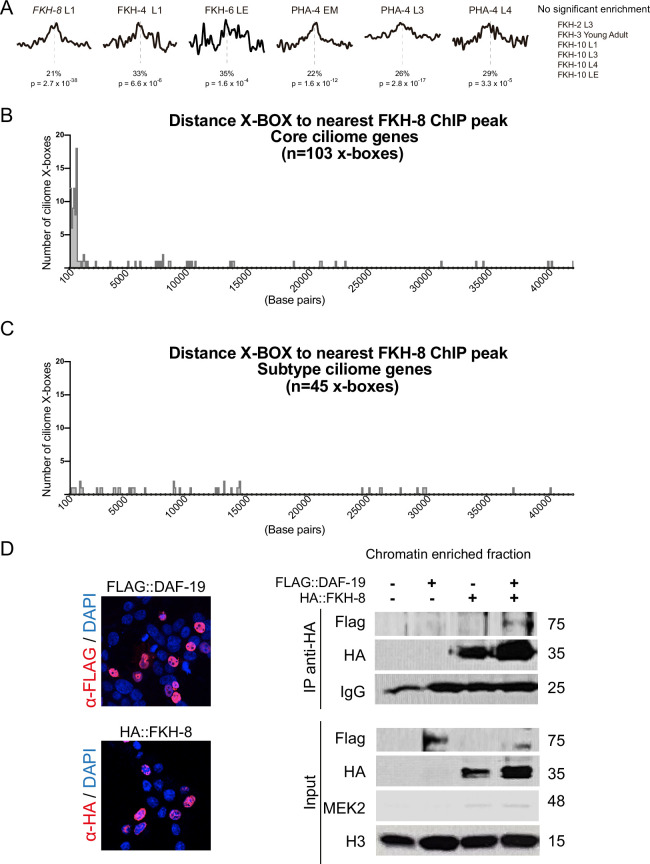 Figure 2—figure supplement 2.