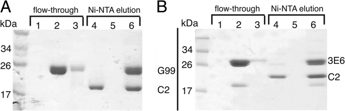 FIGURE 1.