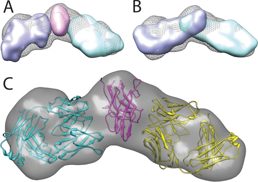 FIGURE 7.