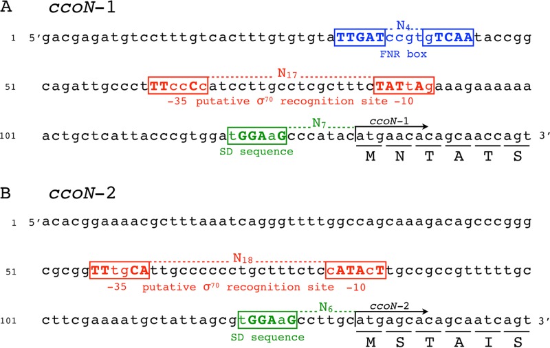 FIG 6