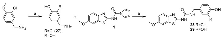 Scheme 8