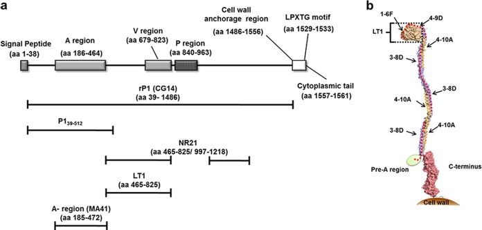 FIG 1