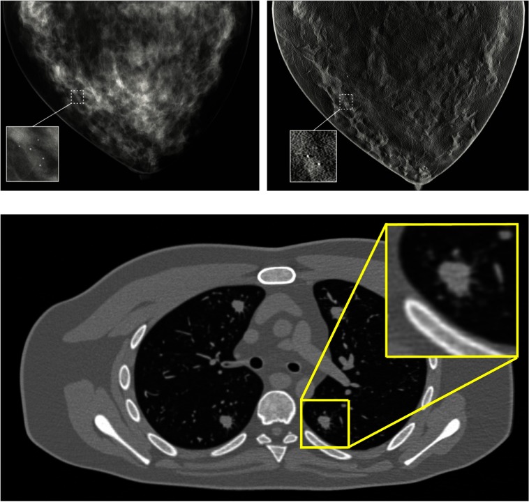 Fig. 9