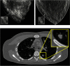 Fig. 9