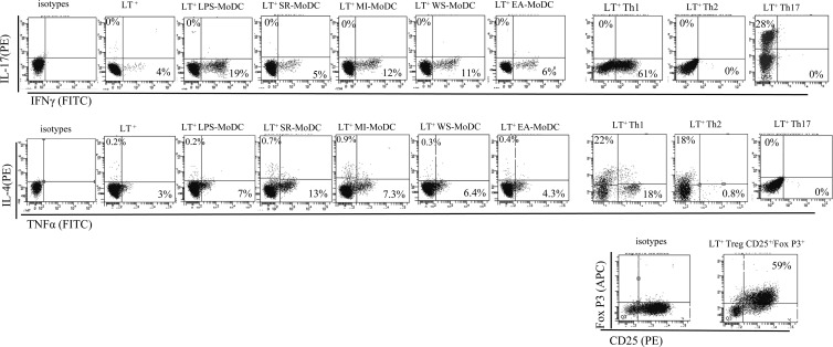 Fig 5