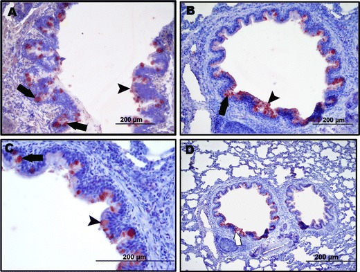 Fig. 5