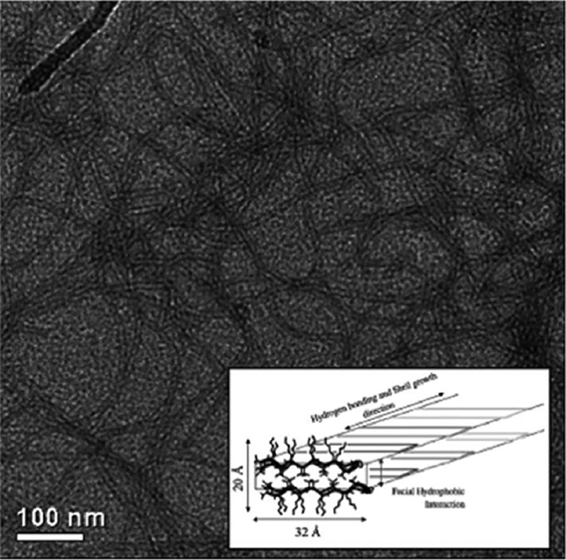 Figure 1: