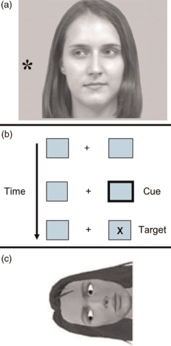 Figure 11.