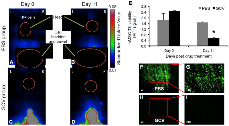 Fig.2