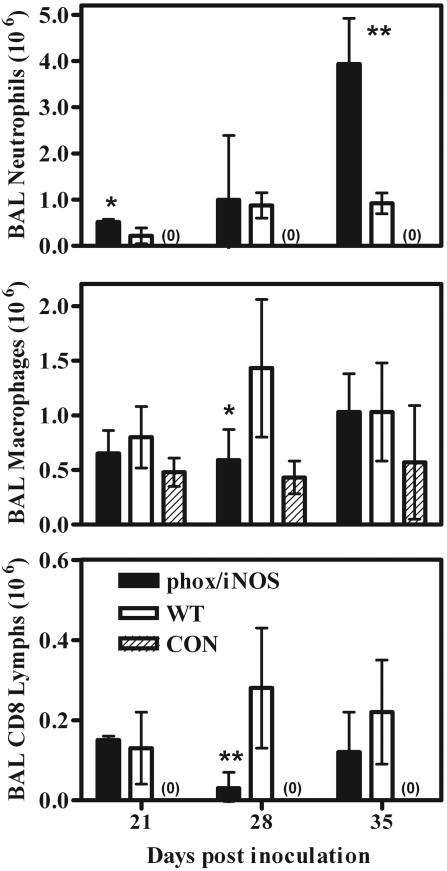 FIG. 7.