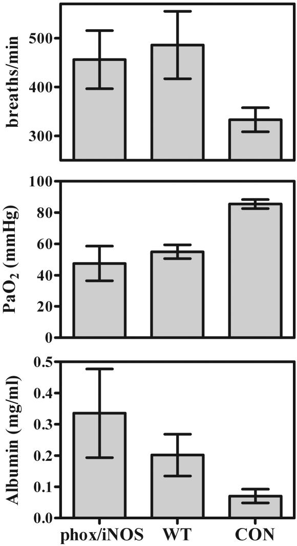 FIG. 8.