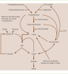 Figura 2
