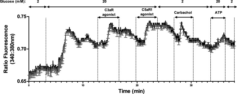 Fig. 8