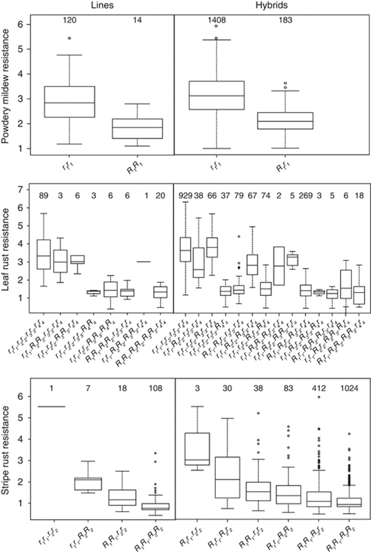 Figure 7