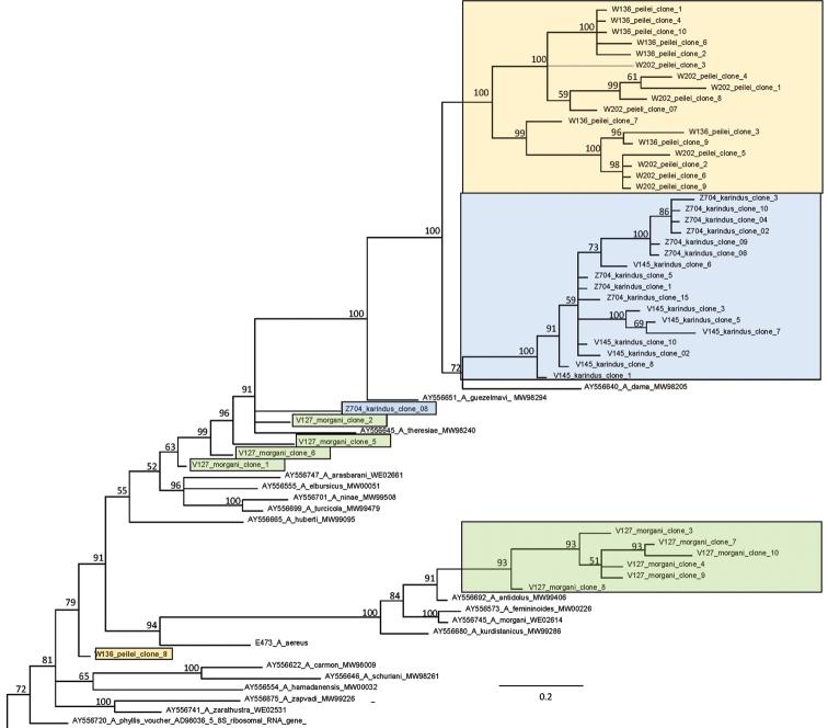 Figure 2.