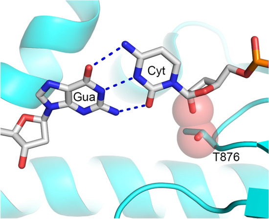 Figure 7