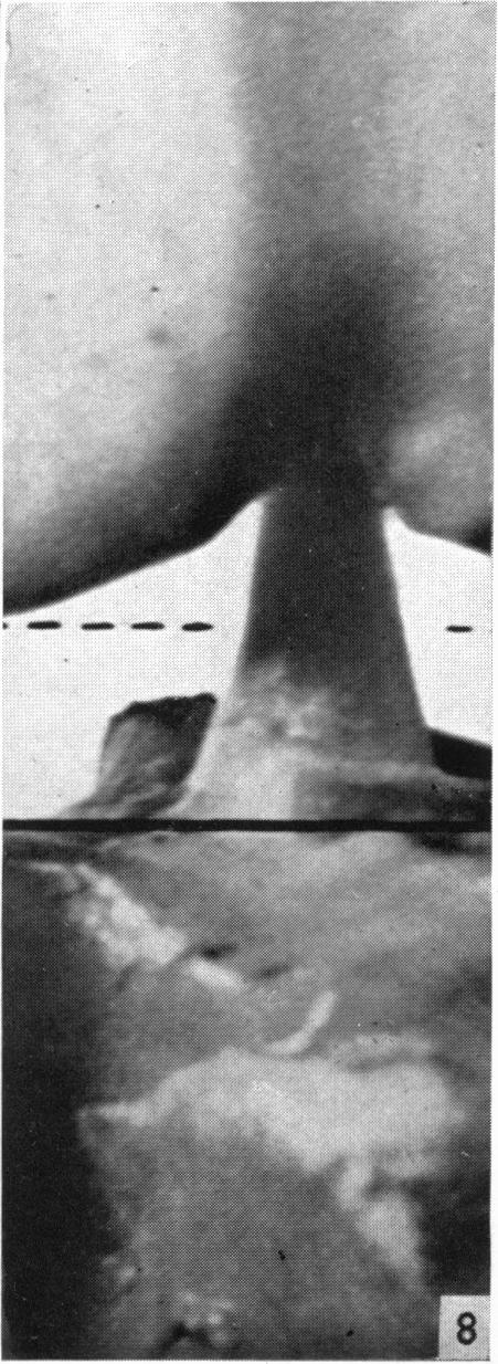 Fig. 8