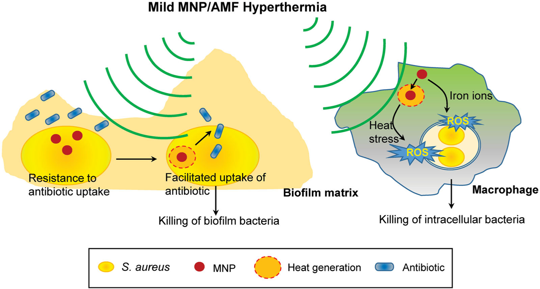 Figure 6.