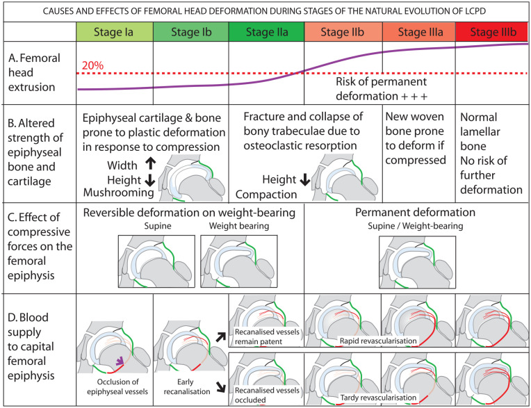 Figure 10.