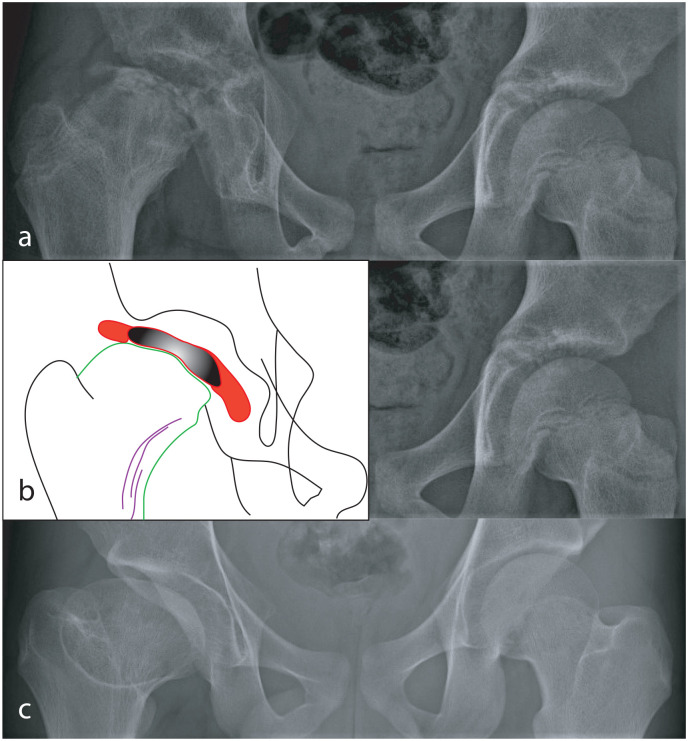 Figure 5.