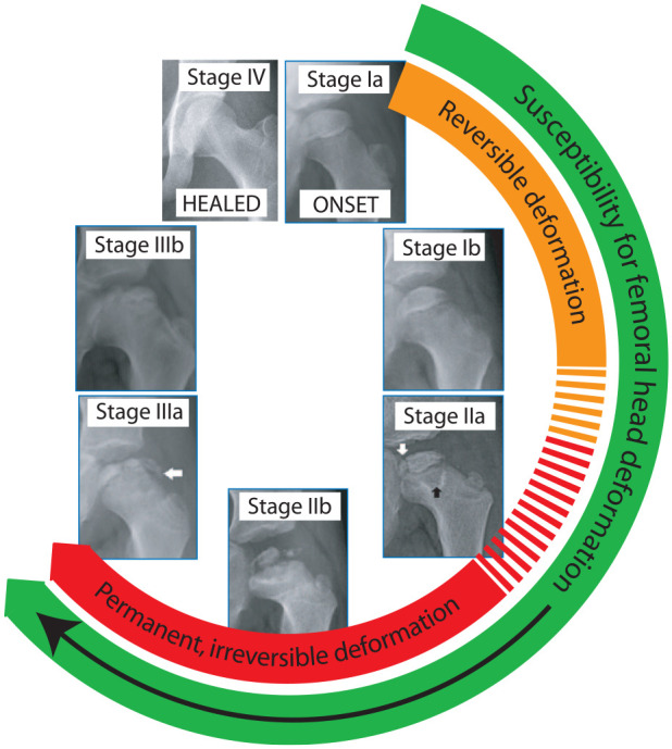 Figure 9.