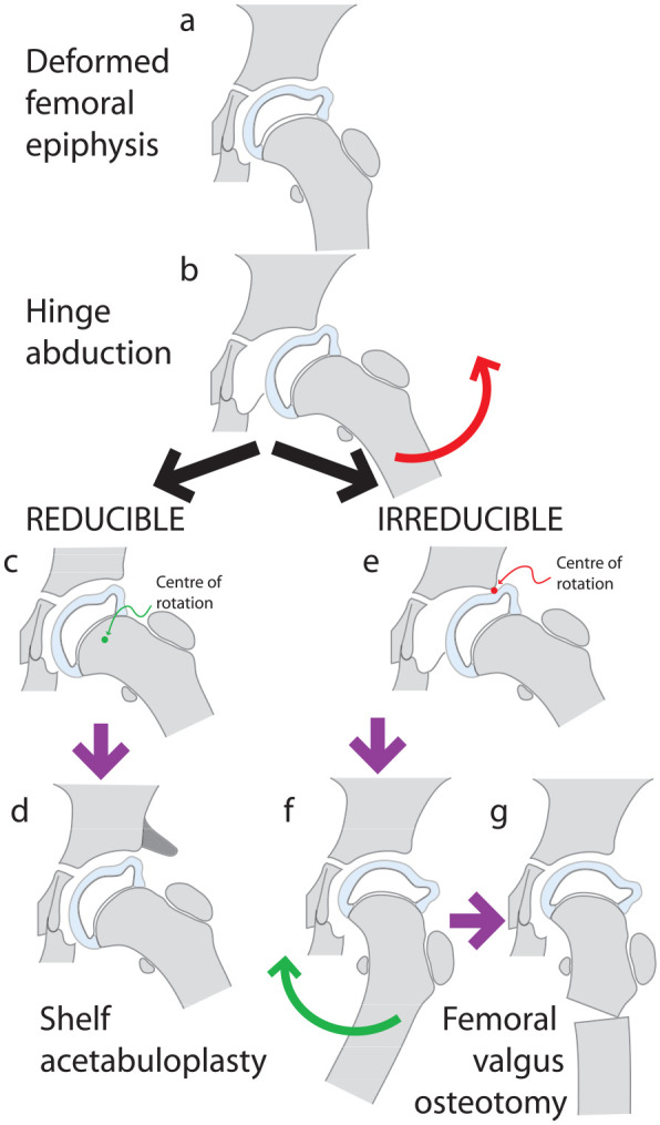 Figure 12.