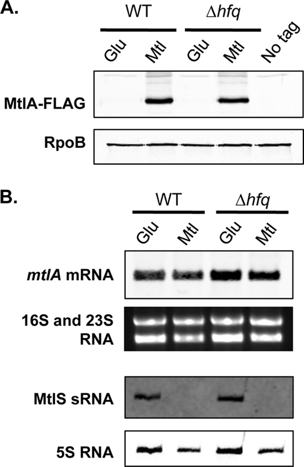 Fig 5