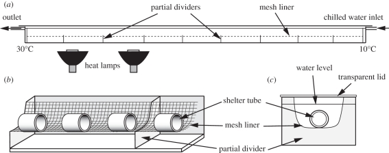 Figure 1.