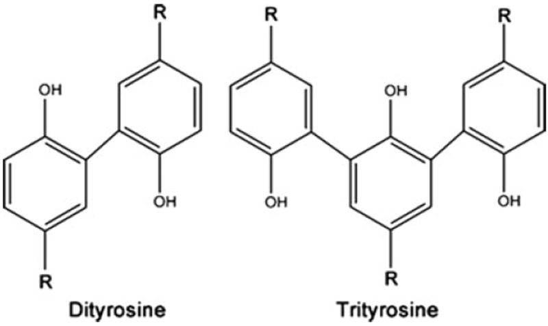 Fig. 19