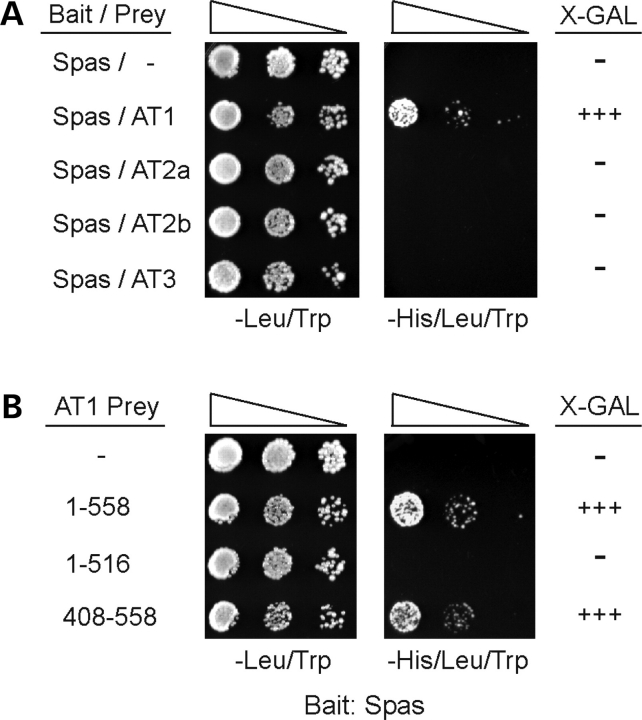 Figure 11.