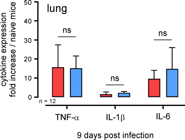 Fig 7