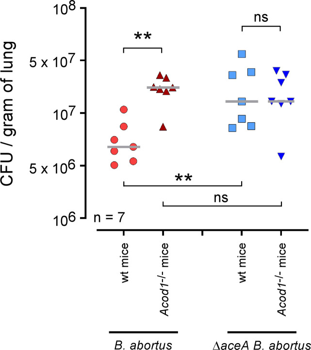 Fig 11