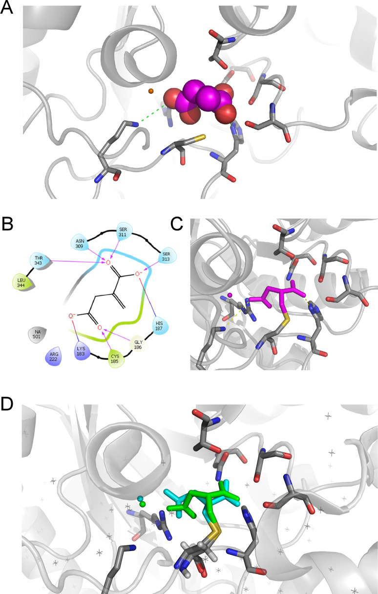 Fig 10