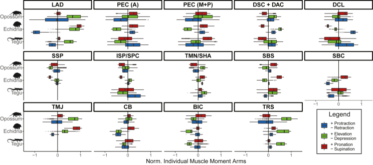 Figure 4