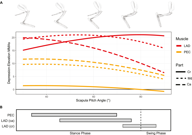 Figure 7