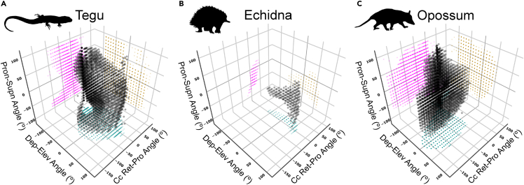 Figure 2