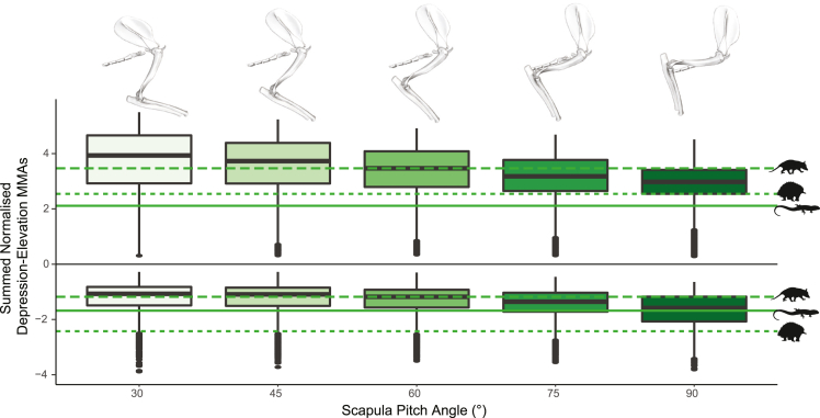 Figure 6