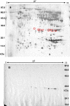 FIG. 5.