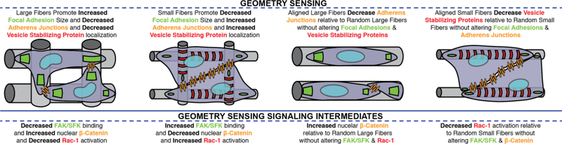 Fig 1.