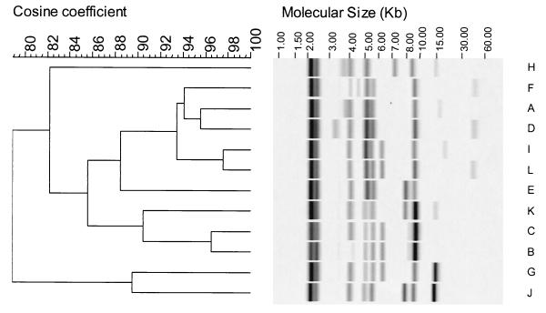 FIG. 1.