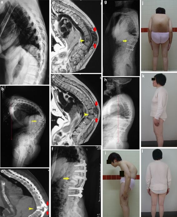 Fig. 1