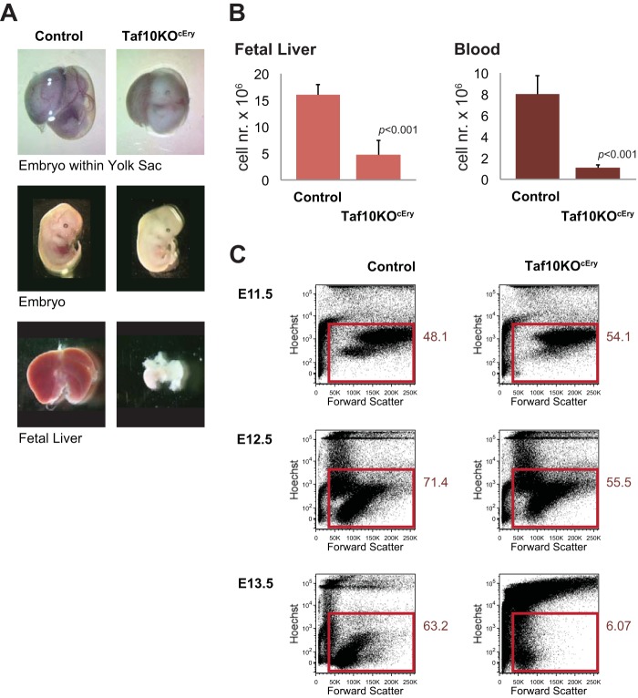 FIG 1