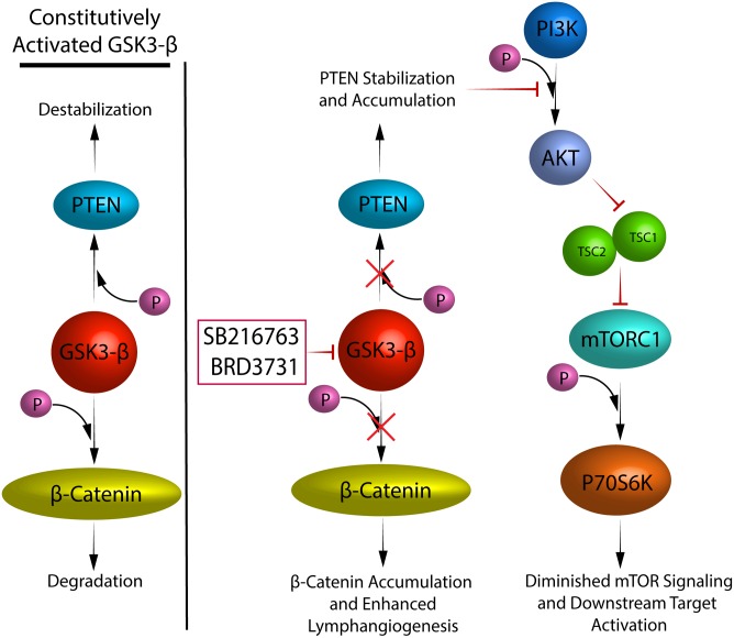 Fig 9