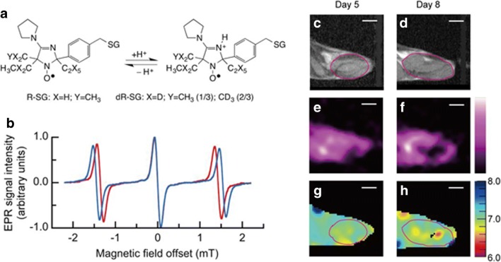 Fig. 12