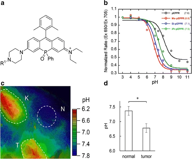 Fig. 14