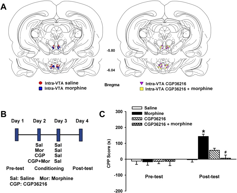 Figure 12.