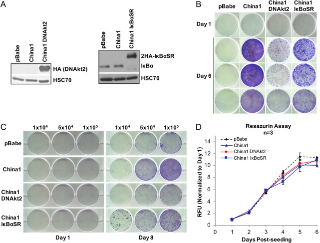 FIG 6