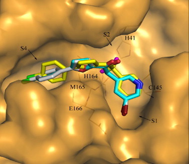 Fig. 2