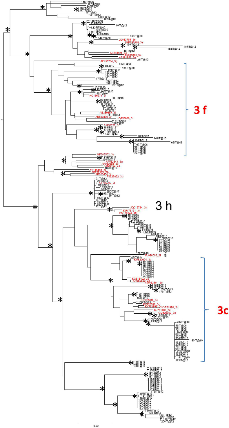 Supplementary Figure 1