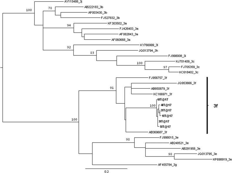 Figure 1